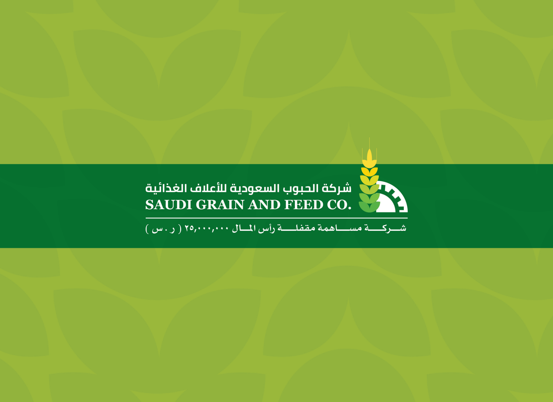 معاينة ملف الشركة